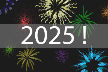 banner voor 2025 introductie post met vuurwerk op achtergrond