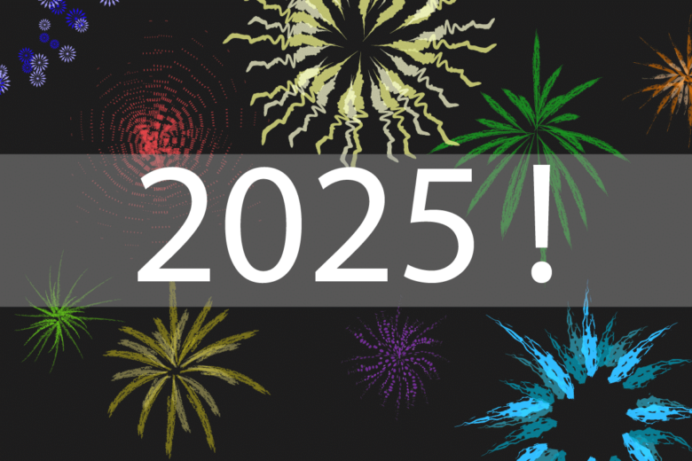 banner voor 2025 introductie post met vuurwerk op achtergrond